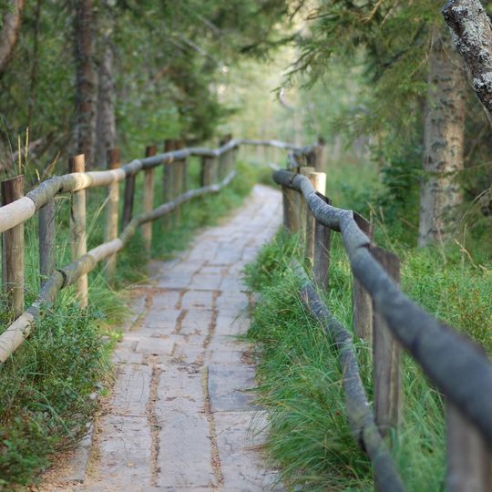 Kaltenbronner Enzhöhen