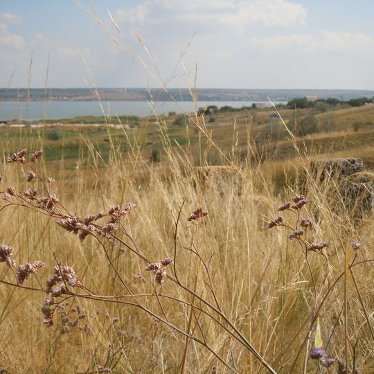 Rozdilna municipality