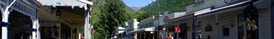 Panoramic View 1