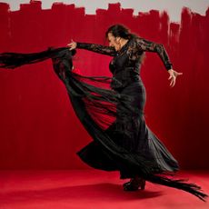 Flamenco Show Sevilla