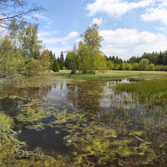 Velikonoční rybník