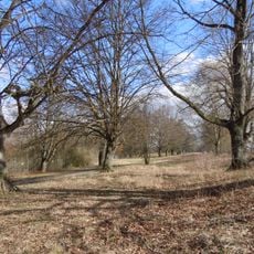 Lindenallee am Schützenhaus
