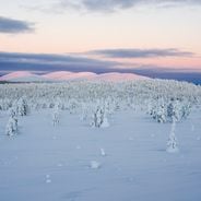 Viagens de inverno na Europa: neve, auroras boreais, mercados de Natal