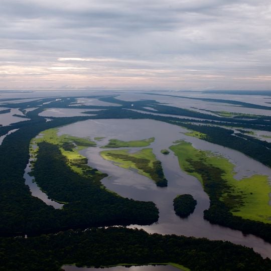 Anavilhanas National Park