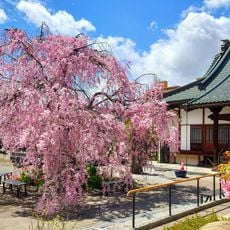 誓願寺