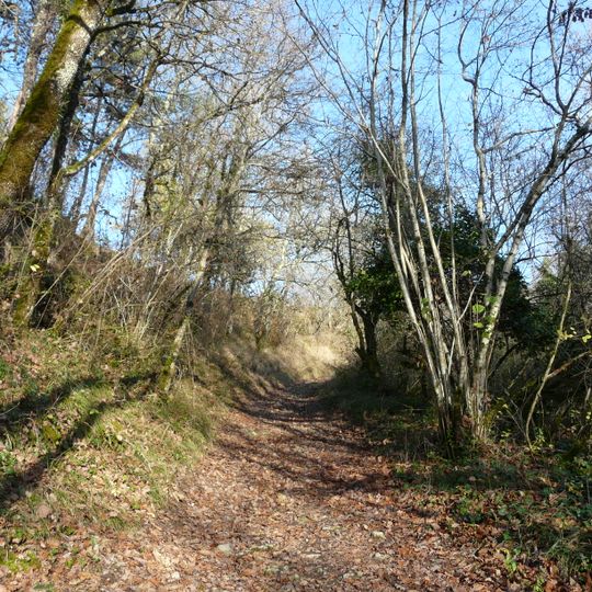Sentier de grande randonnée 36