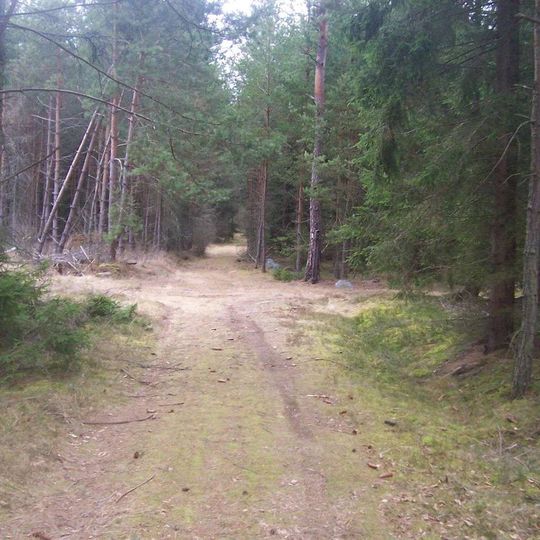 Boží muka v lese u Borovanského rybníka