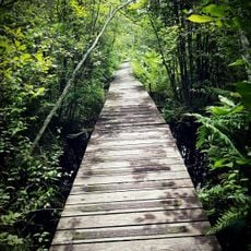 Tannersville Cranberry Bog