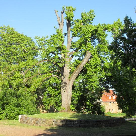 Linde Freilichtbühne