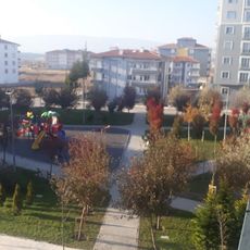 Manas Park
