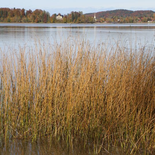 Schutz des Schliersees und seiner Umgebung