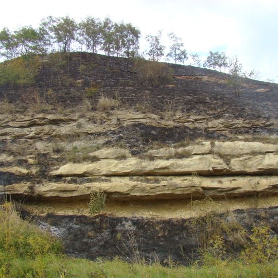 Gipsurile de la Leghia