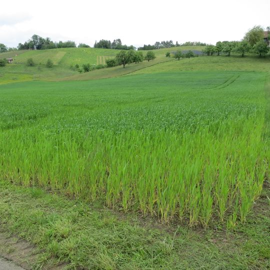 Rümmet; Bronze Age and Iron Age settlement site