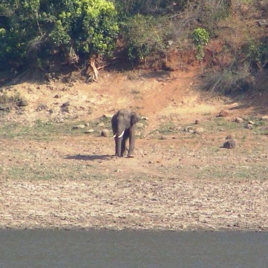 Sathyamangalam Tiger Reserve