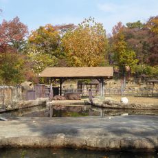 Seoul Zoo