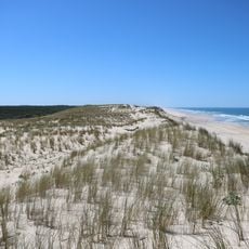 Réserve naturelle nationale des dunes et marais d'Hourtin