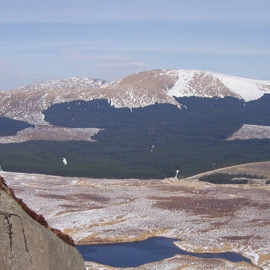 Parc forestier de Galloway