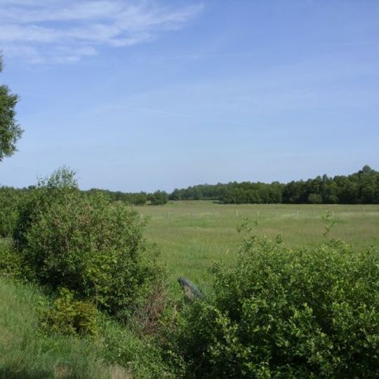 Moor bei Niedersandhausen