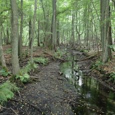 Rezerwat przyrody Rzeka Przyłężek