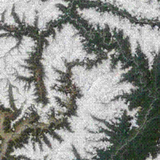 Gola dello Yarlung Tsangpo