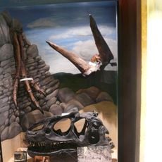 Den förhistoriska världen