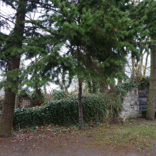 Dorpskerk van Falkenberg