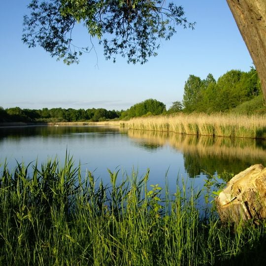 Rohrbacher Teiche und Göselbach