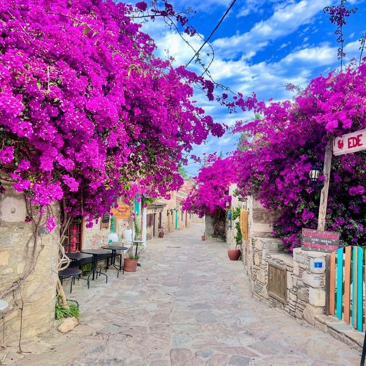 Old Datca Houses