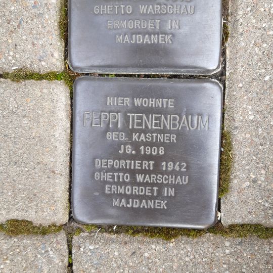 Stolperstein en memoria de Peppi Tenenbaum
