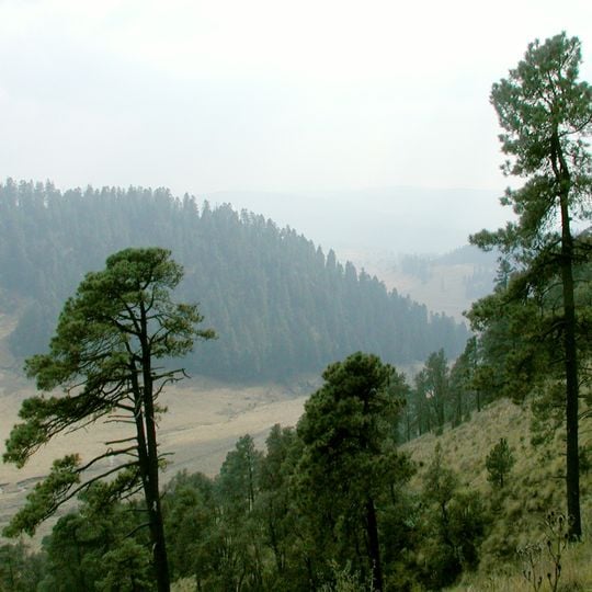 Parc national Insurgente Miguel Hidalgo y Costilla