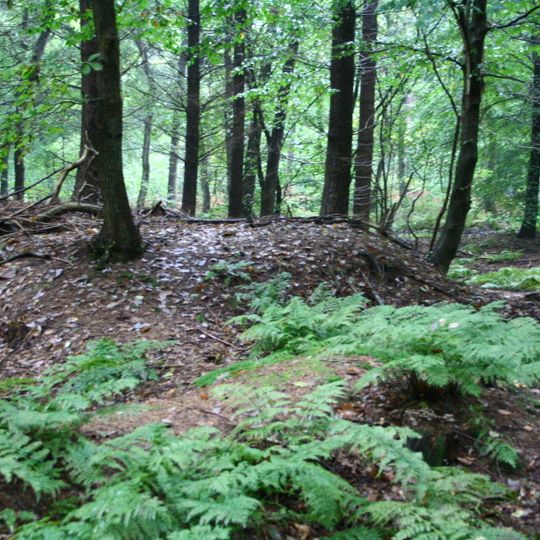 Hünenbetten von Drangstedt