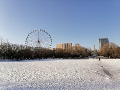 겨울 0