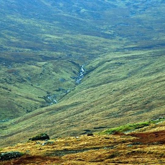 Down District Council