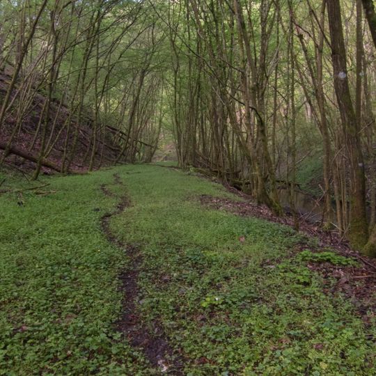 Unteres Ranselbachtal bei Lorch