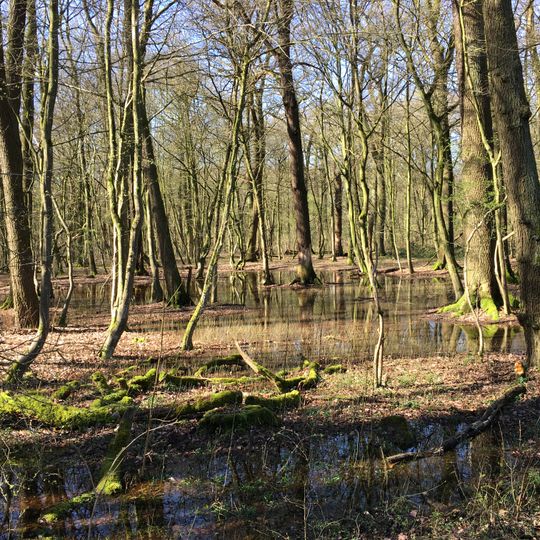 LSG-Eller Forst, Hasseler Forst, Benrather Forst