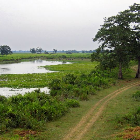 Parc national de Kaziranga