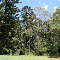 Murrumba Homestead Grounds