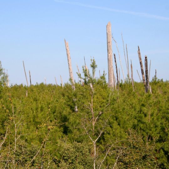 Juniper Prairie Wilderness