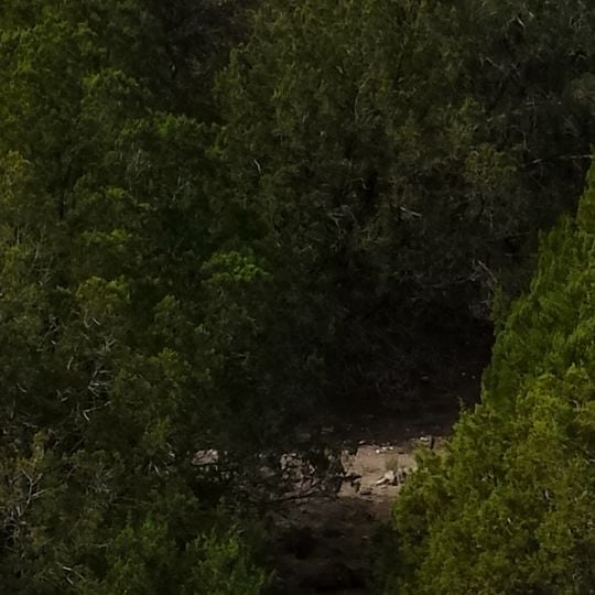 Colorado Bend State Park