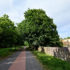 Rot-Buche Wilhelm-Griesinger-Krankenhaus