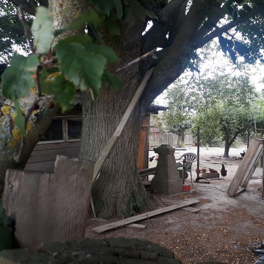 Kříž jižně od Úněšova u lipky