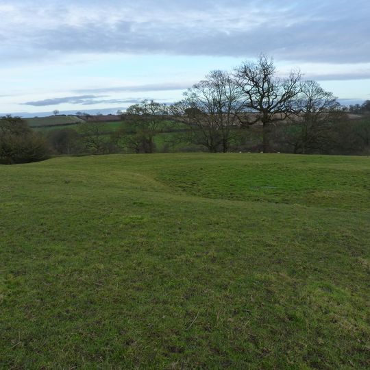 Medieval Settlement, south-east of Upton Cressett Hall