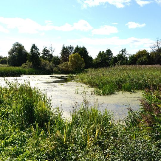 Bilovodskyy preserve