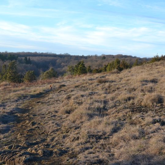 Lande de la Flotte et du Cluzeau
