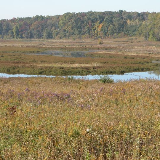 Michigan Wetland Management District