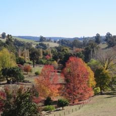 Golden Valley Tree Park