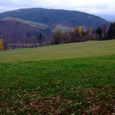 Paproć (Beskid Wyspowy)