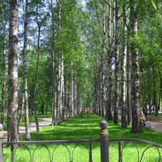 Сад (Павловск)