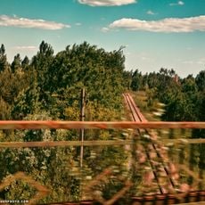 Bridge of Death