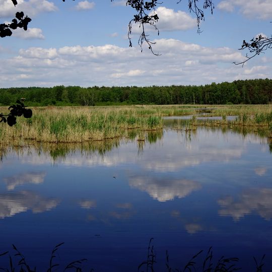 Hirtlohweiher bei Schwandorf